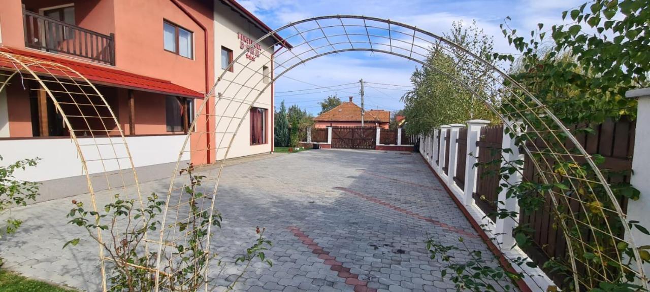 Pensiunea Dara Rîşnov Exteriör bild