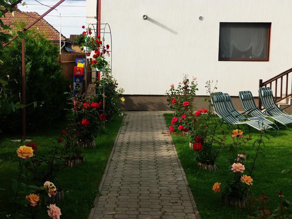 Pensiunea Dara Rîşnov Exteriör bild